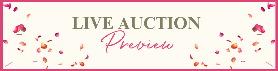 Live Auction Preview